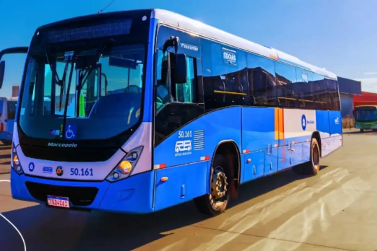 Rápido Araguaia abre 56 vagas de emprego; confira