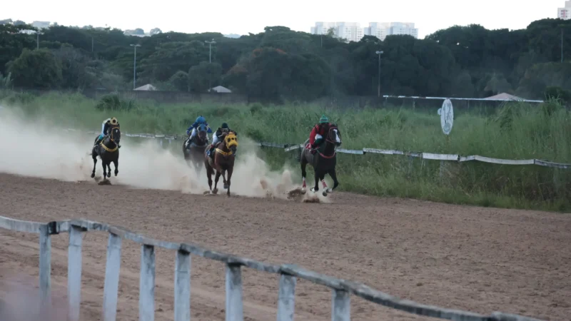Reaberto no fim de março, Hipódromo da Lagoinha receberá nova corrida de cavalos em maio