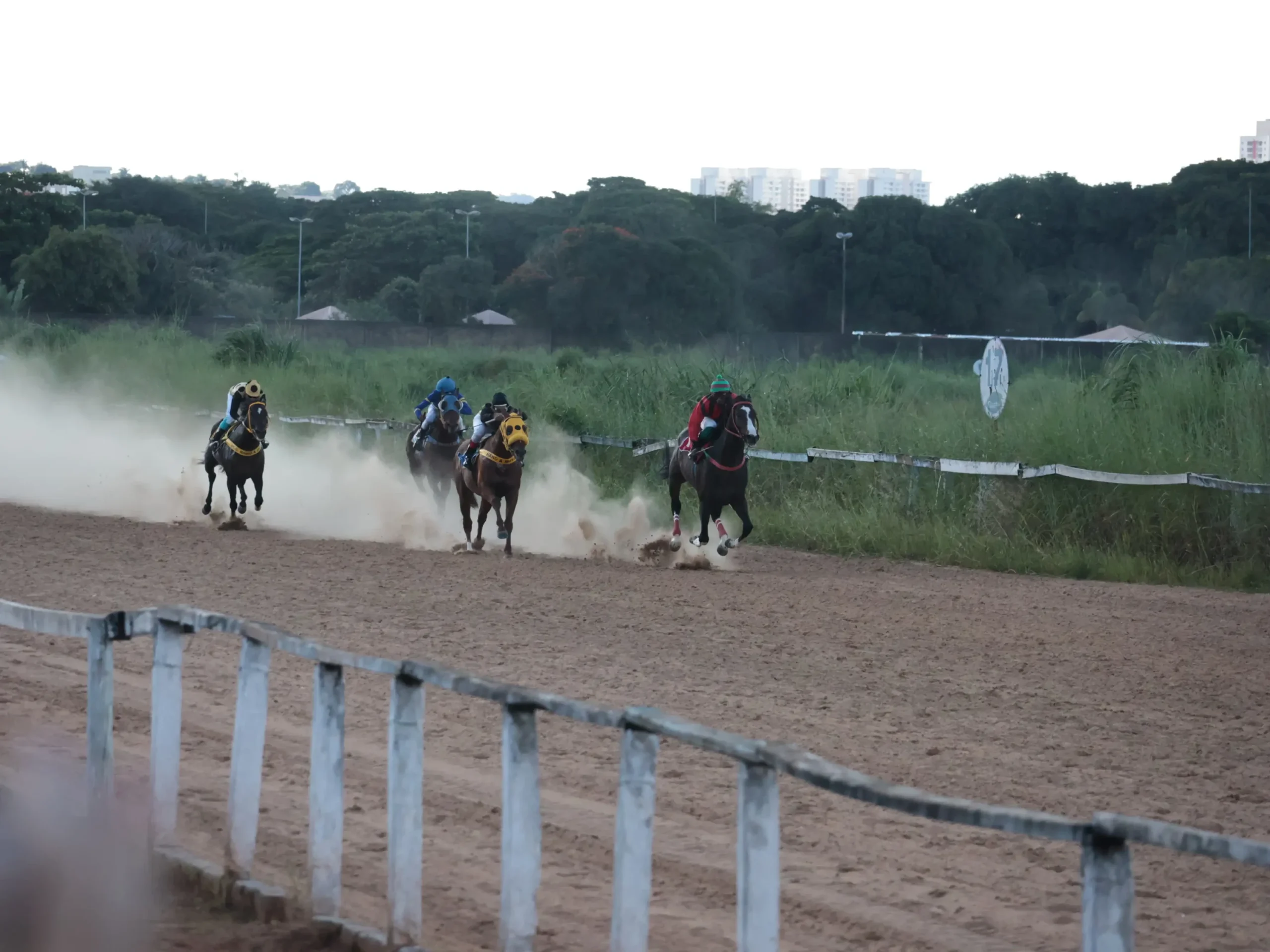 Reaberto no fim de março, Hipódromo da Lagoinha receberá nova corrida de cavalos em maio