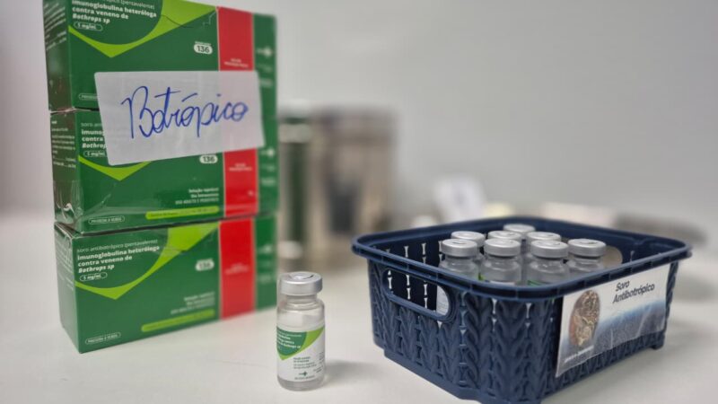 Saúde alerta sobre riscos e primeiros socorros em picadas de cobra