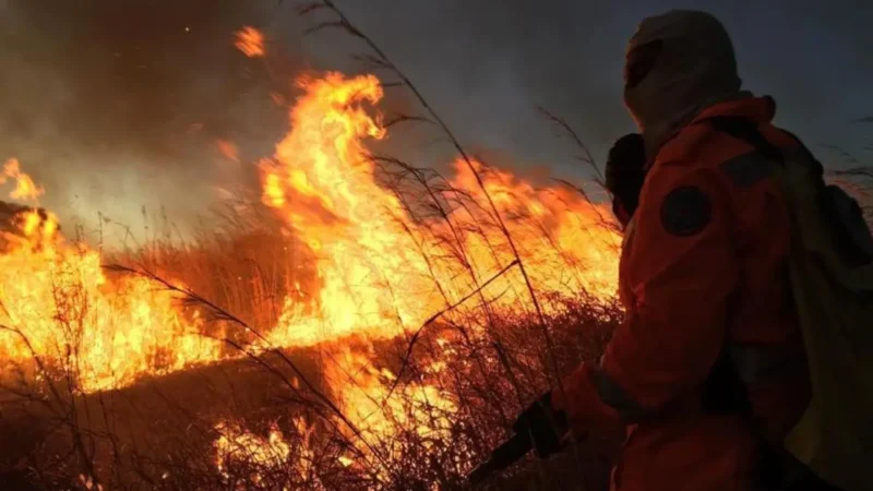 Semad vai remunerar serviços prestados por brigadas em Goiás