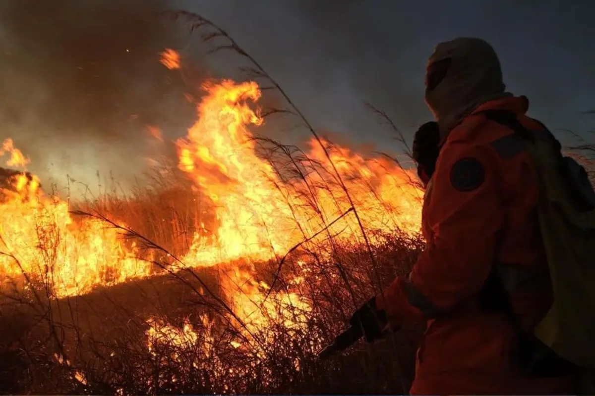 Semad vai remunerar serviços prestados por brigadas em Goiás