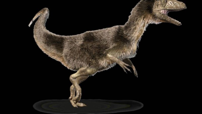 Por que as crianças são fascinadas por dinossauros?