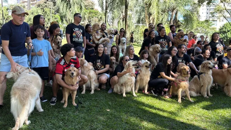 80 golden retrievers se reúnem no Parque Flamboyant, em Goiânia