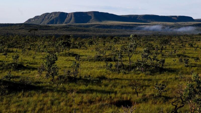 Ação do Ministério Público pode barrar planos de mineração na Chapada dos Veadeiros