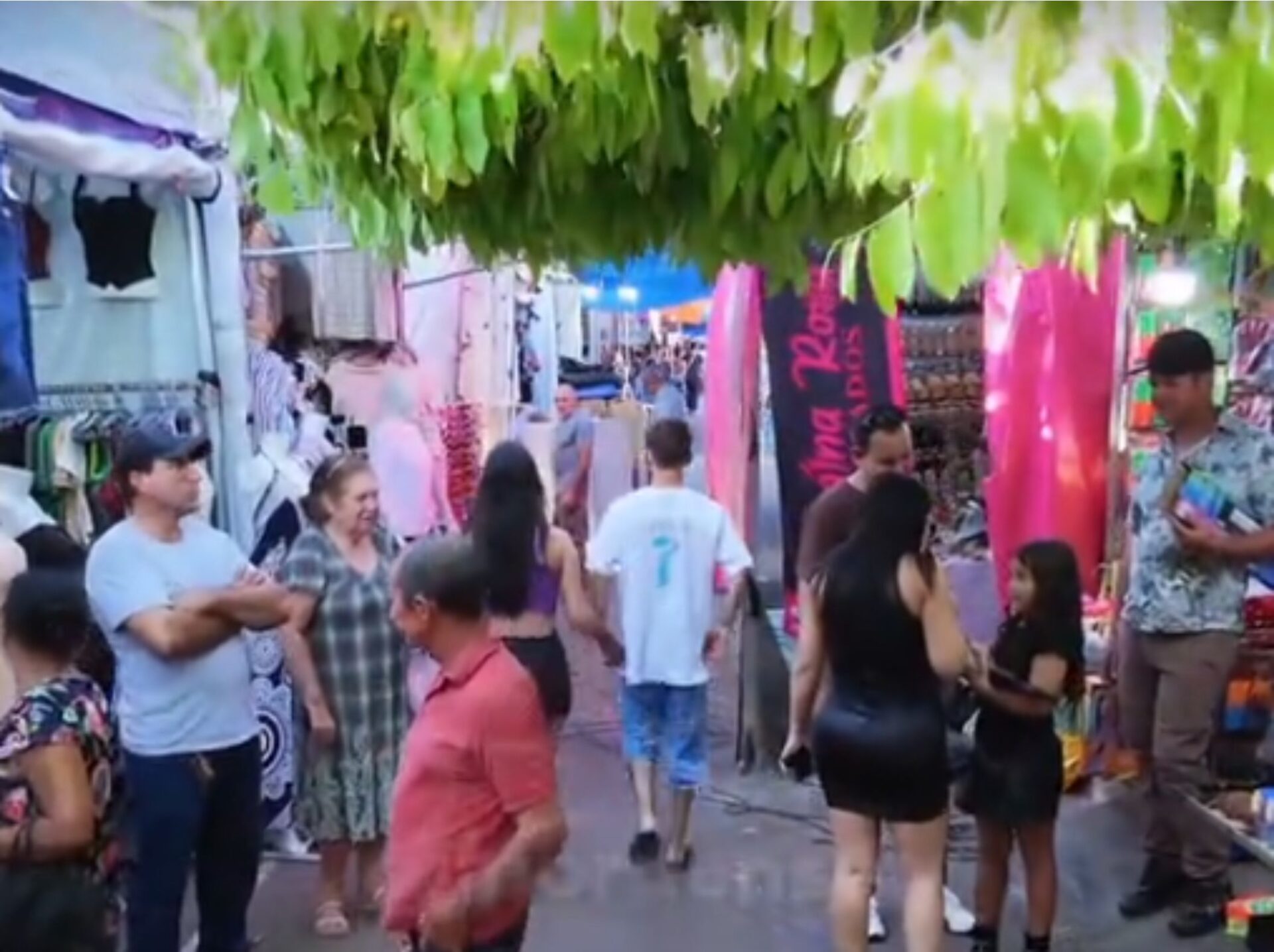 Aspectos positivos e negativos na Festa de Maio deste ano de 2026