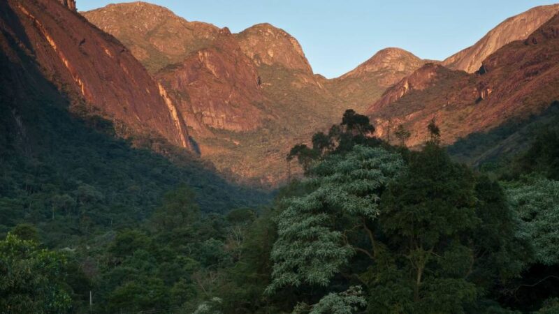 Desmatamento na Mata Atlântica cai ao menor nível em 40 anos
