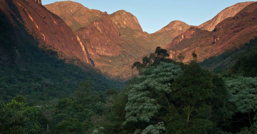 Desmatamento na Mata Atlântica cai ao menor nível em 40 anos