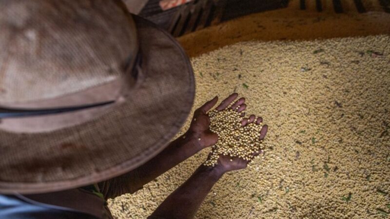 Goiás registra superávit de US$ 1,047 bi em abril 2026
