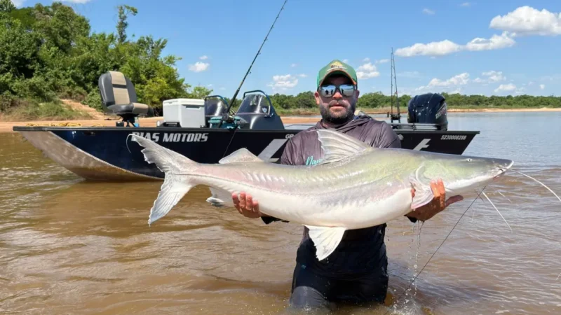 Guia de pesca fisga piraíba de mais de 2 metros no rio Araguaia
