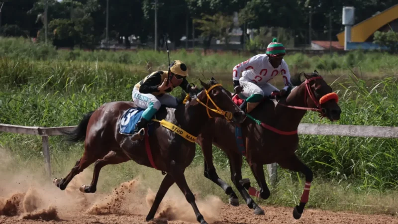 Jóquei Clube promove mais uma edição de corrida de cavalos no Hipódromo da Lagoinha no sábado (9)