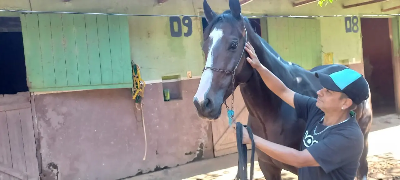 Jóqueis, donos ou cavalariços: quem os cavalos mais amam?