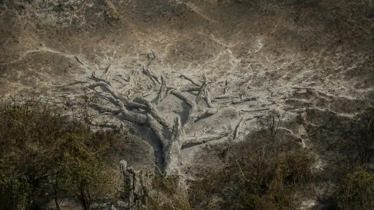 Mudanças climáticas já afetam 85% dos brasileiros, diz pesquisa