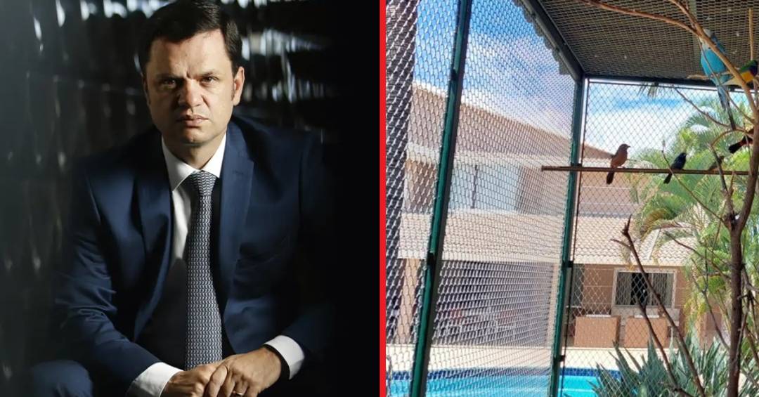 Condenado e preso por tentativa de golpe, ex-ministro enfrenta um processo bizarro