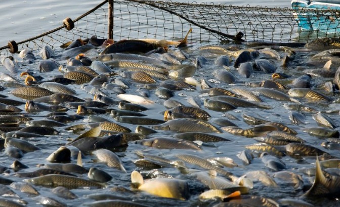 Os que atuam na área da pesca estão chamados para evento