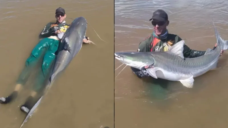 Pescador pega ‘tubarão de água doce’ de quase 2 m no Araguaia