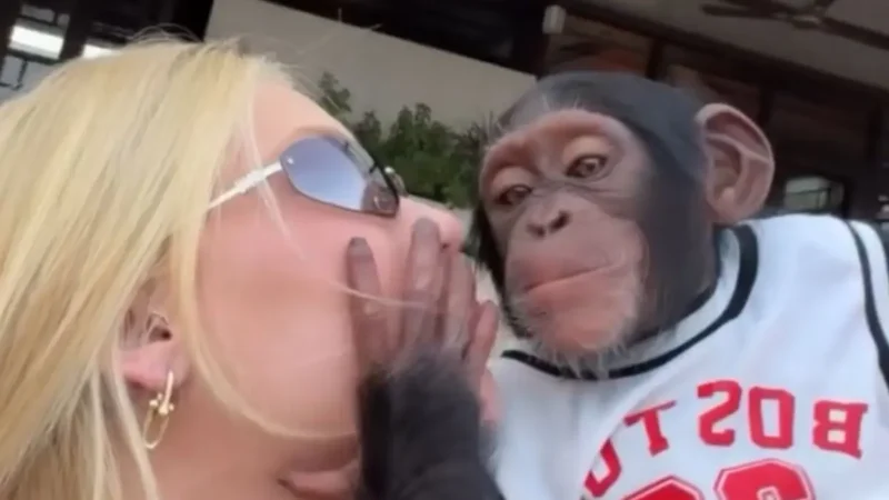 ‘Que pegada’: Virginia beija macaco na boca em Dubai