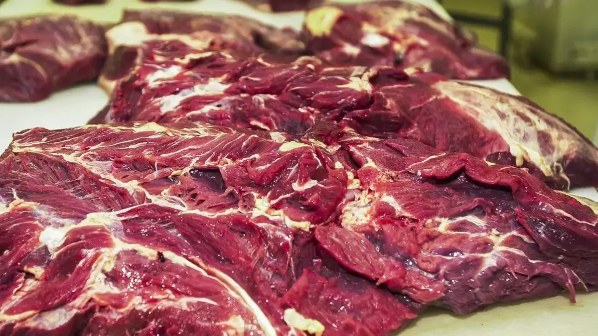 UE veta importação de carne bovina do Brasil a partir de setembro