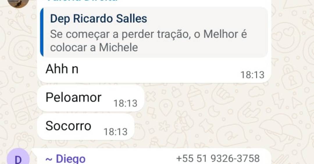 Em grupo, bolsonaristas debatem substituição de Flávio por Michelle, após áudio pedindo recursos para Vorcaro