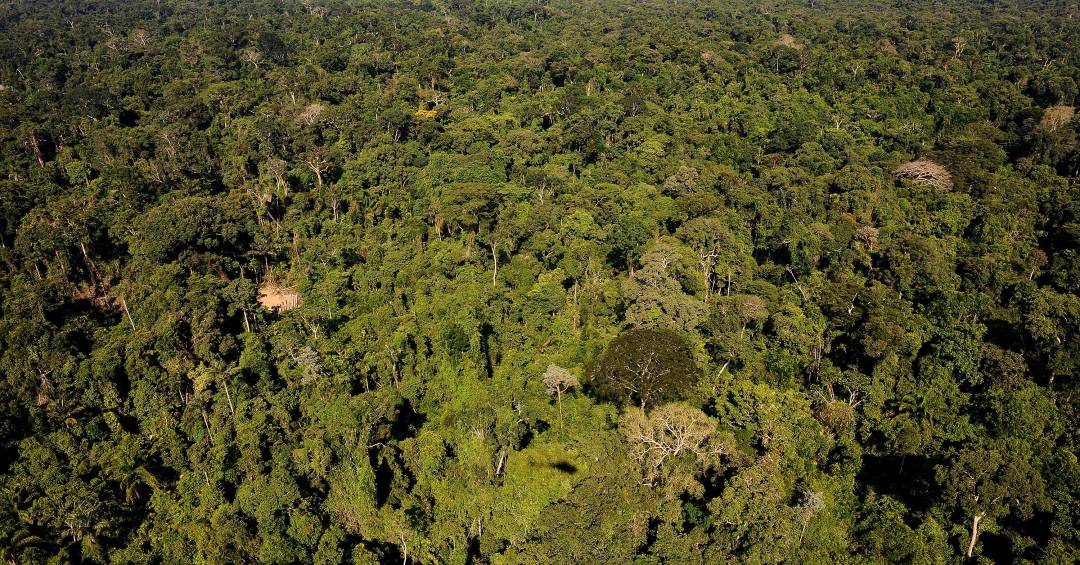 Estudo revela déficit de 958 milhões de dólares em áreas protegidas