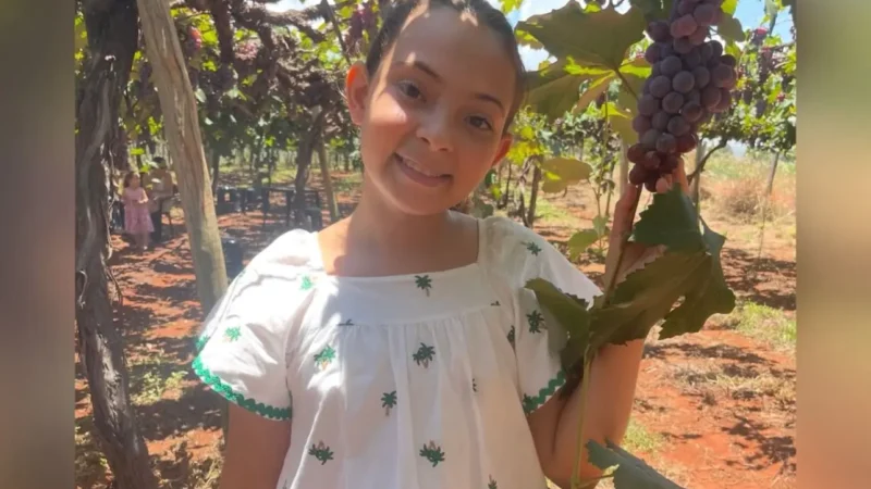 Adolescente ferida em acidente na GO-518 apresenta sinais vitais estáveis, aponta boletim