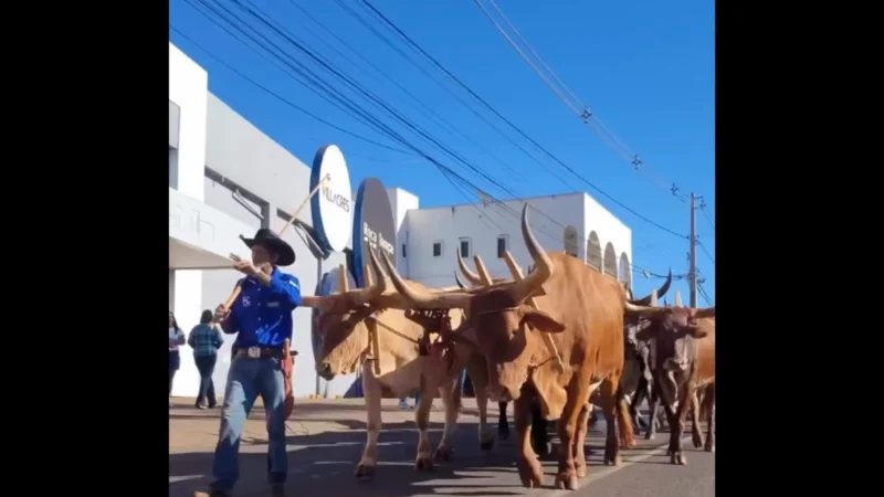 Cavalgada abre Expo Rio Verde 2026; veja programação