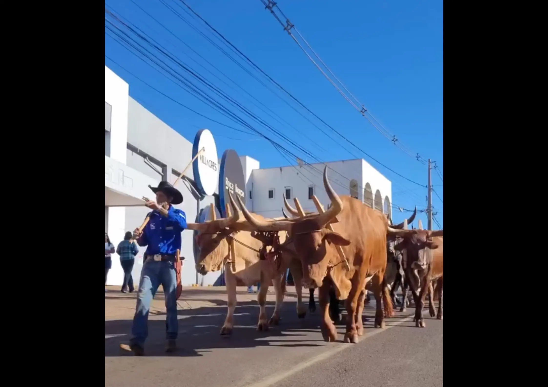 Cavalgada abre Expo Rio Verde 2026; veja programação
