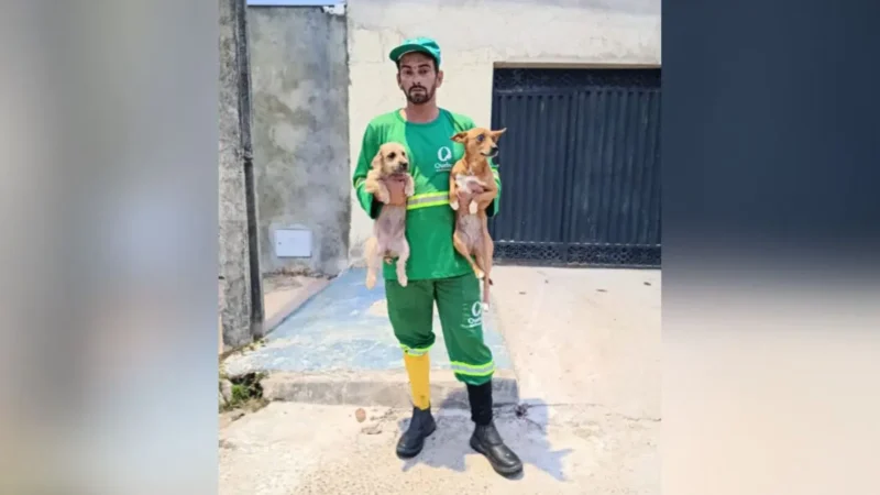 Coletor de lixo de Anápolis viraliza com vídeos ao lado de cachorro caramelo; assista