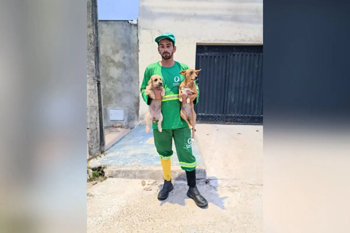 Coletor de lixo de Anápolis viraliza com vídeos ao lado de cachorro caramelo; assista