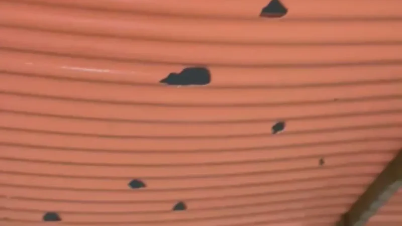 Granizo destrói telhado de morador de Goiânia