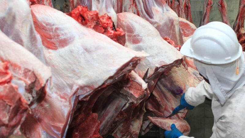 Veto da União Europeia à carne brasileira acende alerta em Goiás