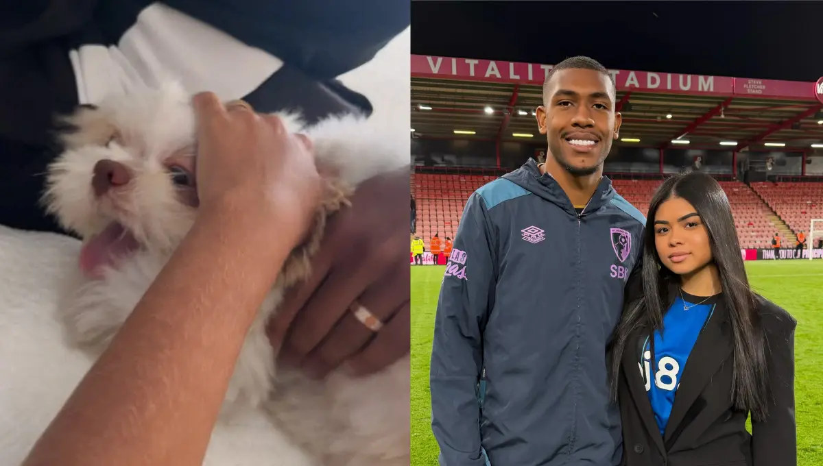 Após um mês e meio, Rayan reencontra pet que ficou em creche