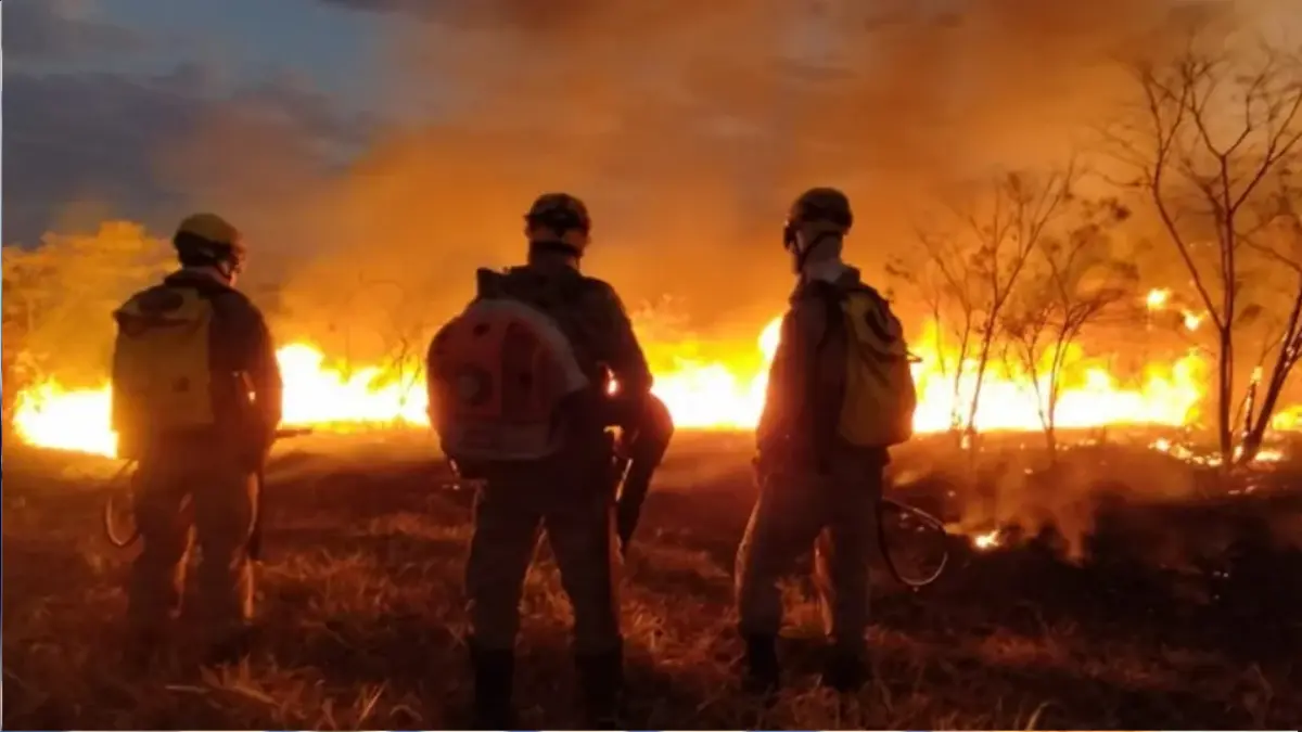 Bombeiros registraram um incêndio por hora em Goiás entre janeiro e julho de 2026