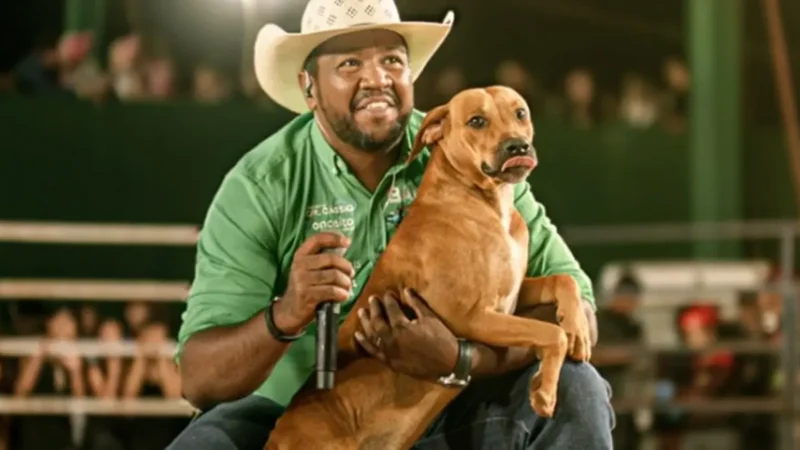 Cachorro que enfrentou touro é adotado e ganha nome; vídeo