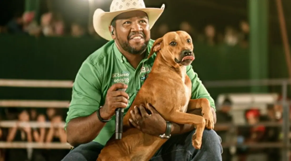 Cachorro que enfrentou touro é adotado e ganha nome; vídeo