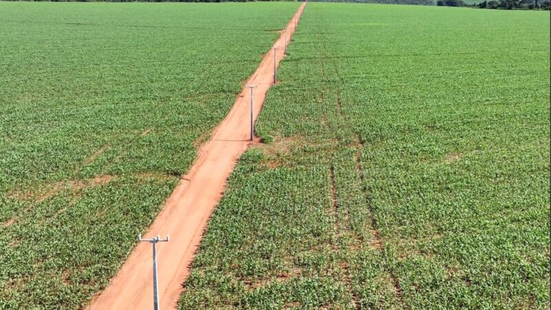 Cristalina reforça rede elétrica para impulsionar o agro GO