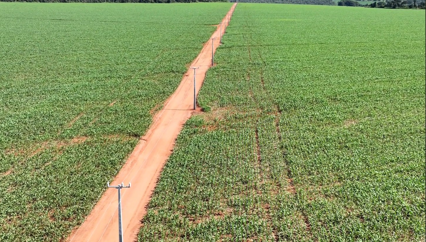 Cristalina reforça rede elétrica para impulsionar o agro GO