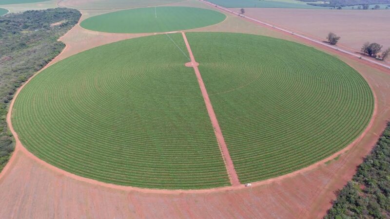 Energia na agricultura irrigada cresce 11% em Goiás