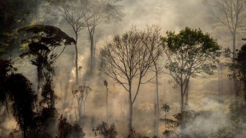 Brasil reduz média histórica de queimadas