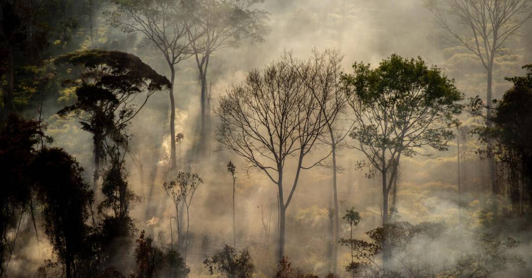 Brasil reduz média histórica de queimadas