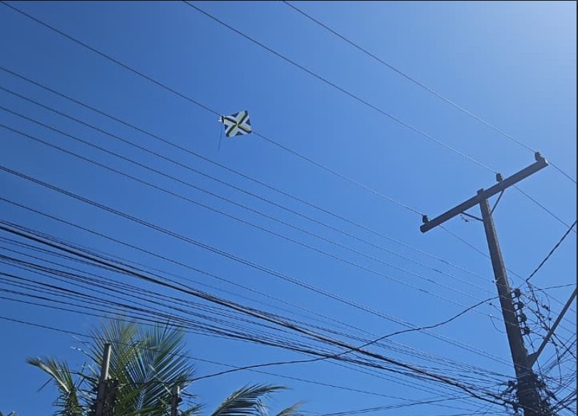 Pipas geram mil ocorrências na rede elétrica em Goiás