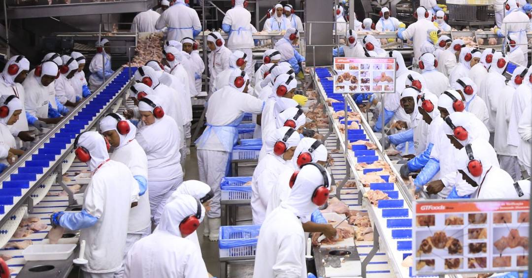 Tarifa dos EUA poupa petróleo, minério de ferro, café e mais de 2 mil produtos brasileiros