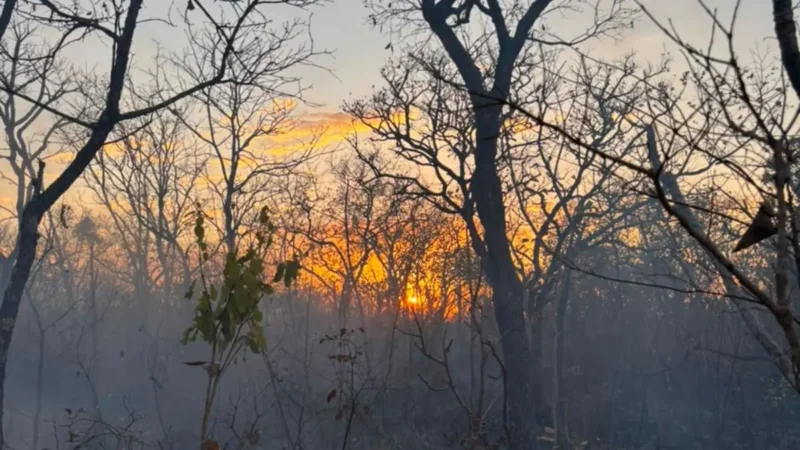 Estado abre frente de combate ao fogo na cidade de Goiás