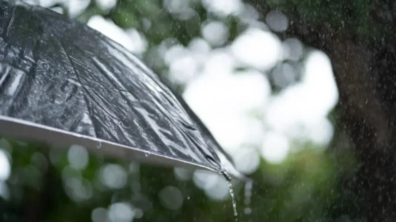 Goiás pode ter ‘visita rápida’ de chuva nos próximos dias