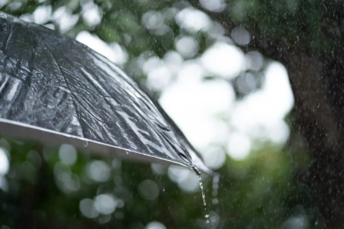 Goiás pode ter ‘visita rápida’ de chuva nos próximos dias