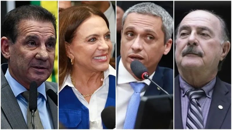 Gracinha Caiado aparece na frente com 21%