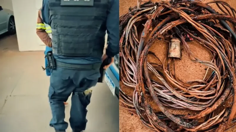 Homem furta fios de Castra Pet em Rio Verde e paralisa serviço