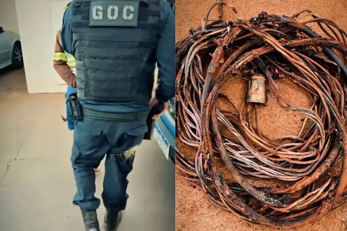 Homem furta fios de Castra Pet em Rio Verde e paralisa serviço