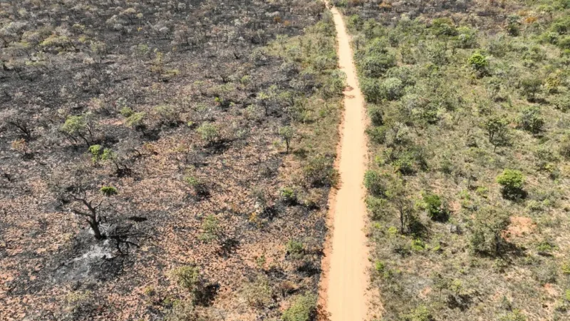 Incêndio no Terra Ronca avança novamente para a Serra Geral