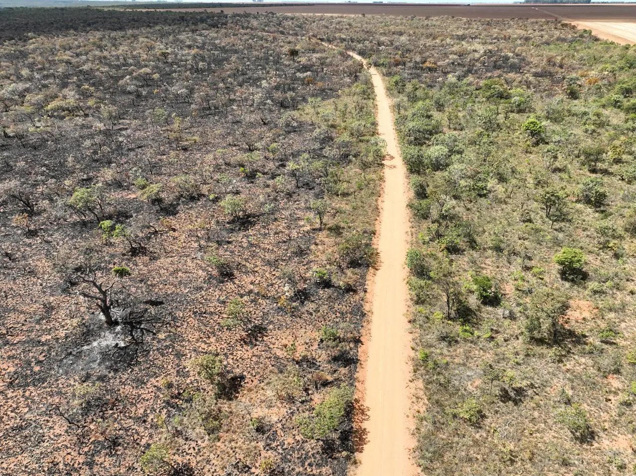 Incêndio no Terra Ronca avança novamente para a Serra Geral